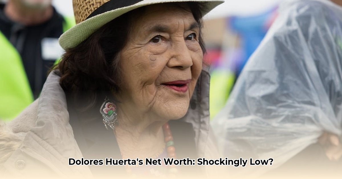 dolores-huerta-net-worth